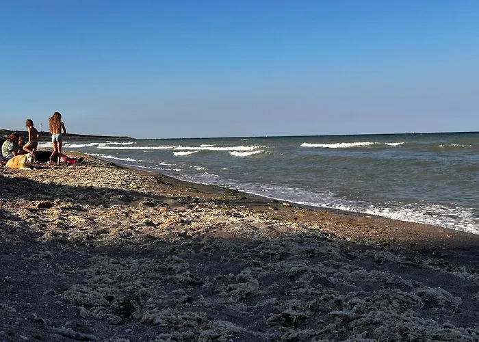 Apartment Studioul Epava